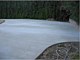 Concrete Driveway