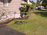 Brick Ribbon and Brick Planter