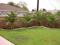 Brick Ribbon and Brick Planter