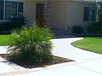 Brick Ribbon and Brick Planter