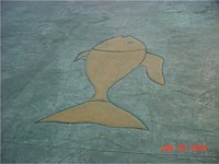 Decorative Concrete and Concrete Overlay