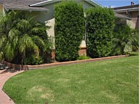 Brick Ribbon and Brick Planter